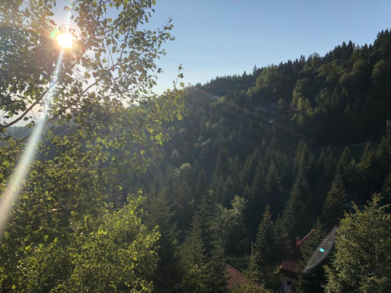 Stara Bacija Apartman Kopaonik Kültér fotó
