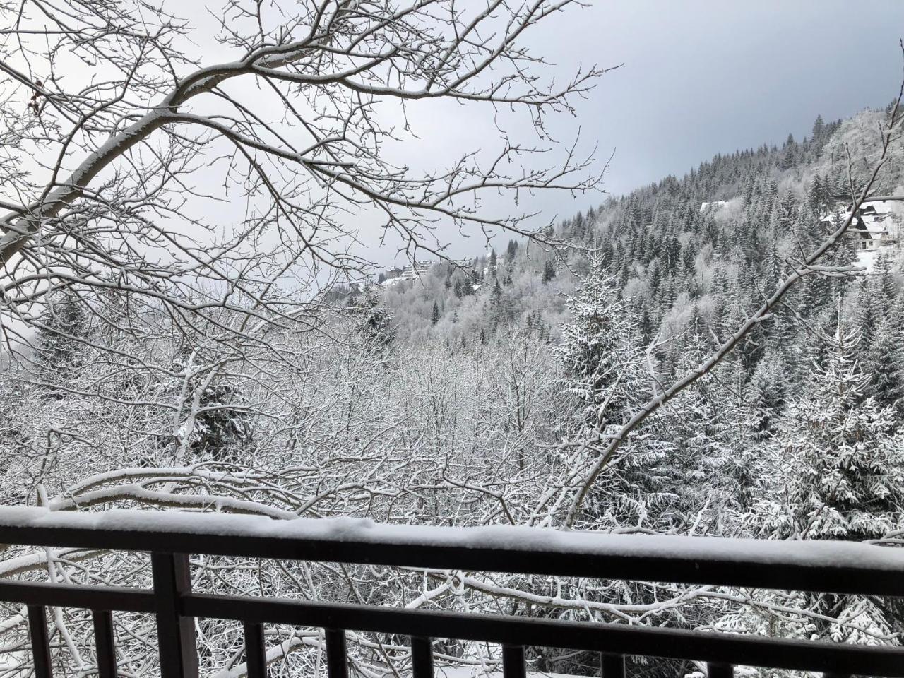 Stara Bacija Apartman Kopaonik Kültér fotó